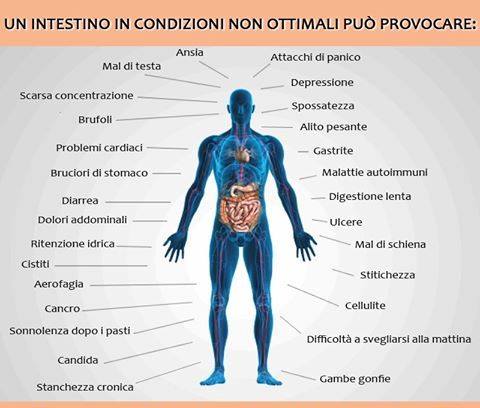 L'intestino è un secondo cervello